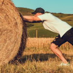 Canva-Photo-of-Man-Pushing-Hay-Bale