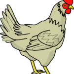 chicken-g40cb6858e_1280